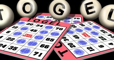 slider togel